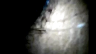 scoody fucking kendra hard